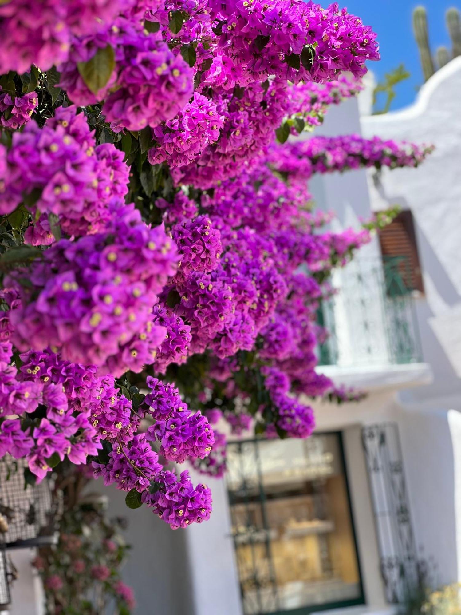 Boutique Hotel Solaz Porto Rafael Exteriör bild